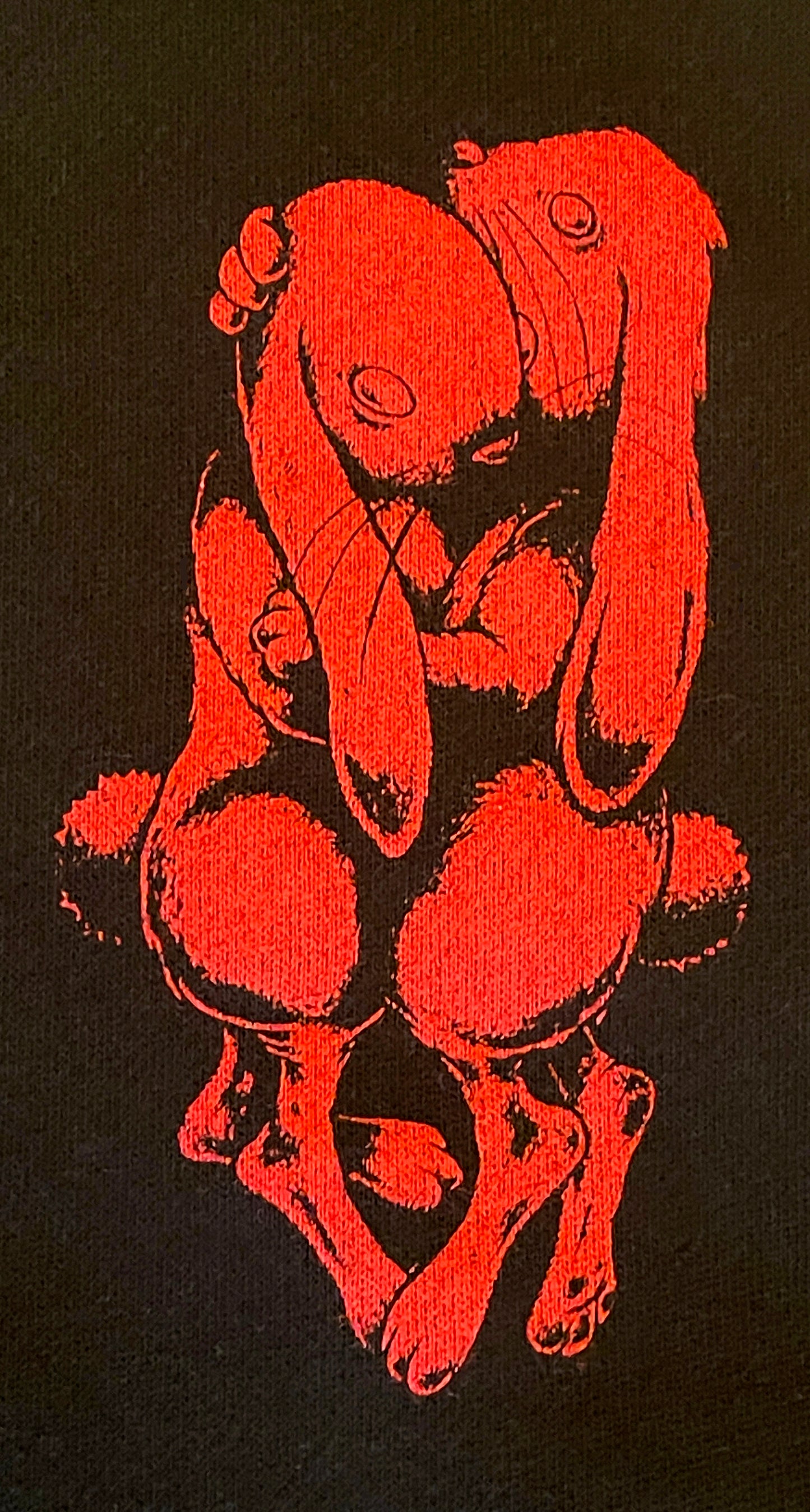 'We Carry Each Other' Hoodie (Red Logo)